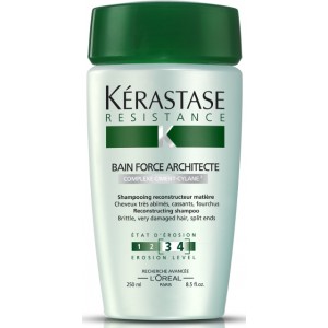 BAIN FORCE ARCHITECTE 250 ML