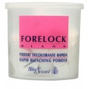 POLVERE DECOLORANTE RAPIDA  FORELOCK BLANK 650 g HELEN SEWARD